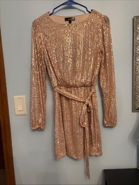 Sequin Long-Sleeve Mini Dress in Rose Gold